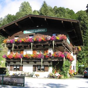 Apartment In Saalbach Hinterglemm Near Ski Area